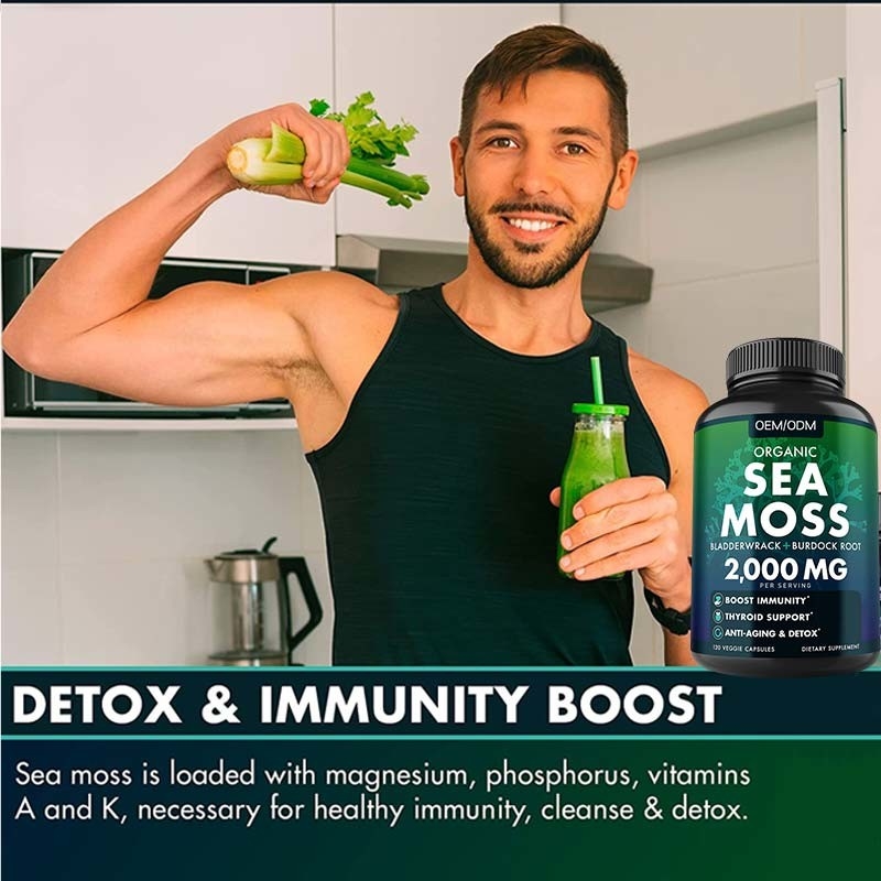 Unflavored органические таблеток Seamoss клейковины мха моря не GMO капсул мха моря Wildcrafted сырцовые 60 свободных