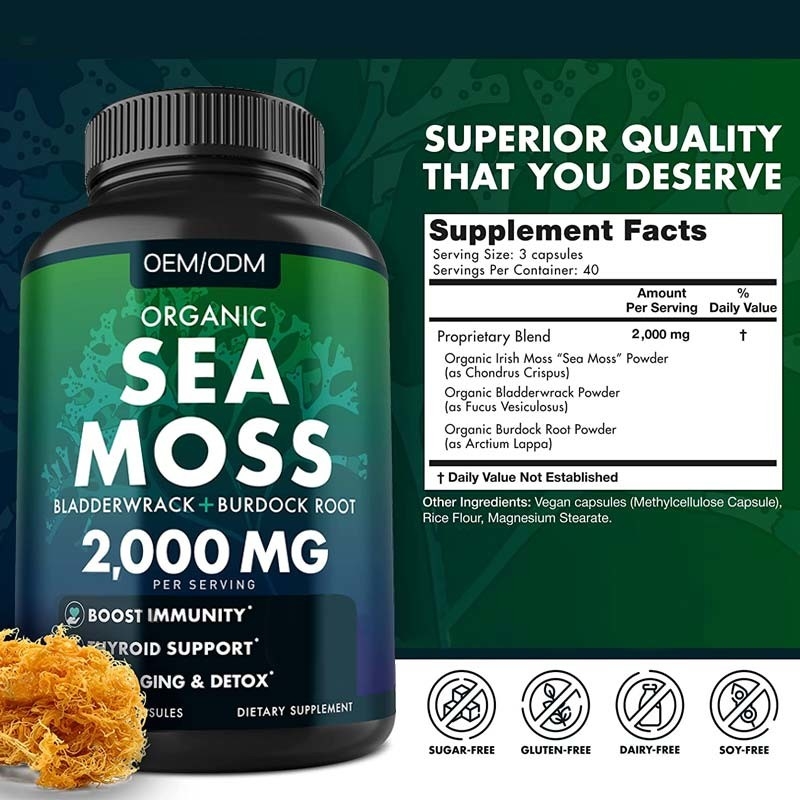 Unflavored органические таблеток Seamoss клейковины мха моря не GMO капсул мха моря Wildcrafted сырцовые 60 свободных