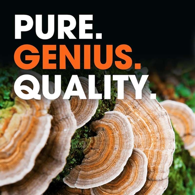 OEM способствует общему оздоровлению, поддерживает естественные защитные механизмы организма, борется с окислительными процессами, капсулы из траметеса