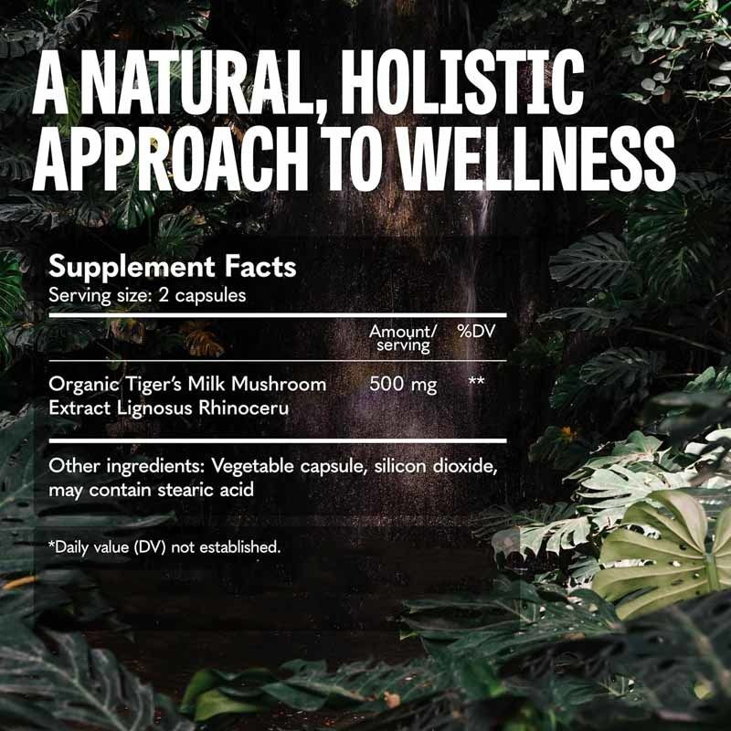 Пищевая добавка с грибами для роста волос, здоровья кишечника, пищеварения, мозга, легких, когнитивных функций, дыхательной системы. Капсулы с тигровым молочным грибом