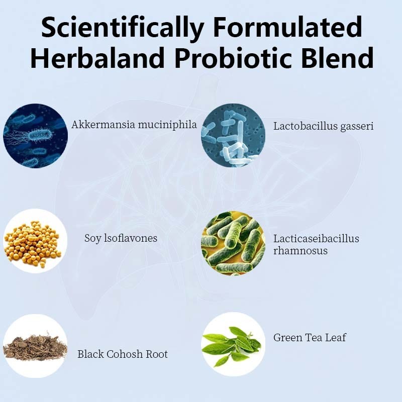 OEM / ODM Пробиотические добавки для женщин при менопаузе заводского производства - 60 миллиардов КОЕ Пробиотики Akkermansia для гормонального баланса, ночной потливости, облегчения приливов, здоровья кишечника, индивидуальная формула