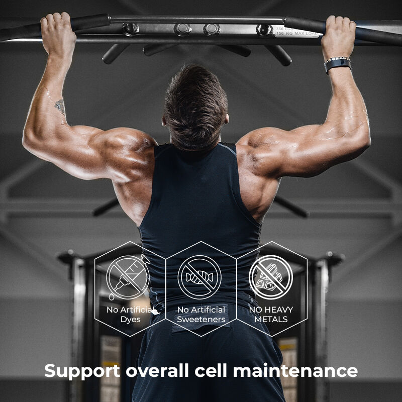 Частный маркировка Шилажит Мужские резинки Фулвиновая кислота Без сахара Добавка поддерживает нормальный уровень энергии и иммунную функцию