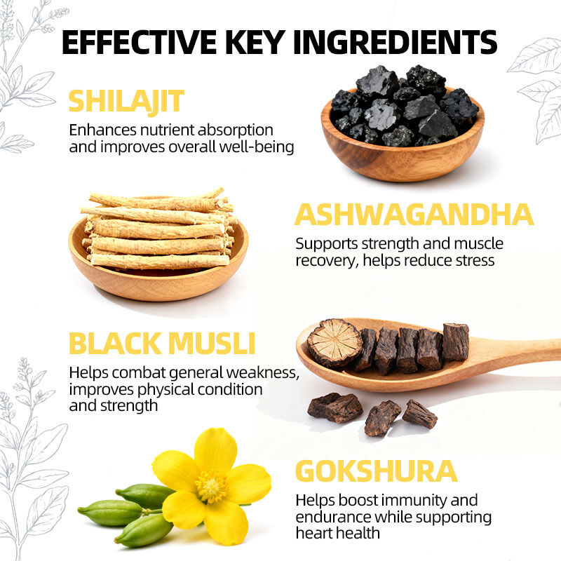 Частный лейбл Шилажит Gummies с Ашвагандой Увеличить энергию Улучшить тренировку Улучшить иммунитет Чистая гималайская добавка Шилажит