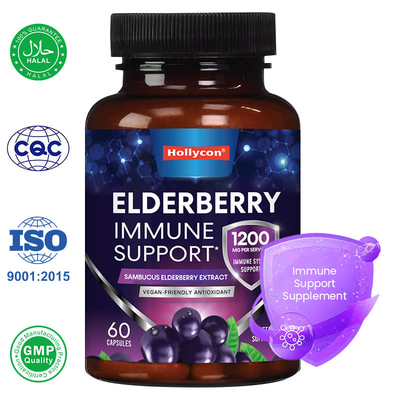 Фабрика Sambucus Black Elderberry Капсулы Иммунная поддержка Добавка Антиоксидант